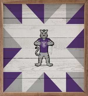 Quilt Mascot University Of St. Thomas